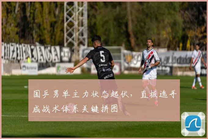 国乒男单主力状态起伏，直板选手成战术体系关键拼图