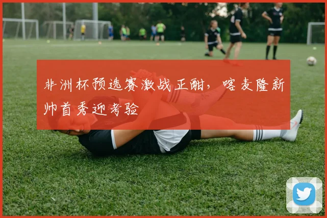 非洲杯预选赛激战正酣，喀麦隆新帅首秀迎考验